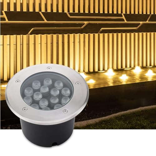 Faretti LED Esterno - 24V Faretto Luce Da Pavimento, Illuminazione per piscina rotonda impermeabile IP68, faretto subacqueo a LED da incasso, acciaio inossidabile 304 a bassa tensione ( Color : Cold W