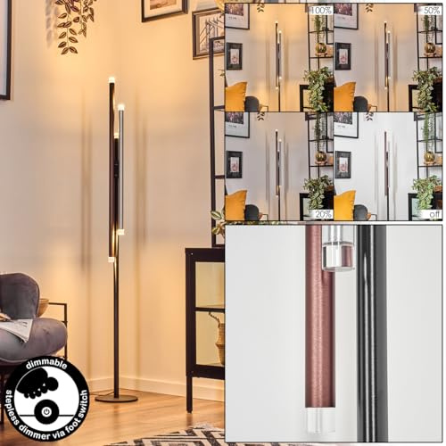 HOFSTEIN LED Stehleuchte Specksta, dimmbare Stehlampe aus Metall/Kunststoff in Schwarz/Silber-/Kupferfarben/Klar, modernes Design, Fußschalter, 22 Watt, 2100 Lumen, 3000 Kelvin, Wohnzimmer, Büro