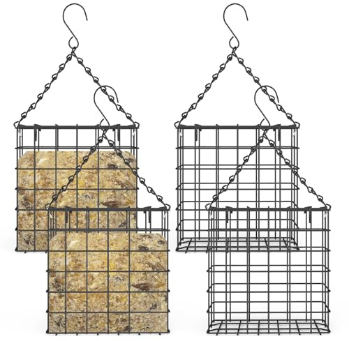 kjcbkcb 4Pcs Suet Feeder with Hanging Chain for Bird Lover Suet Bird Feeder for Outside Hanging for Sparrow Woodpecker Tit Finch