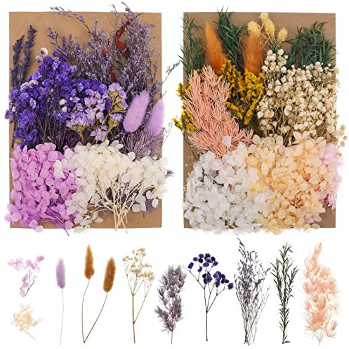 QINREN 2 Packs Real Natural Dried Flowers, Mixed Dried Pressed Flowers and Leaves Set Artificial Everlasting Flowers for DIY Arts Resin Scrapbooking Jewelry Making Floral Decorations