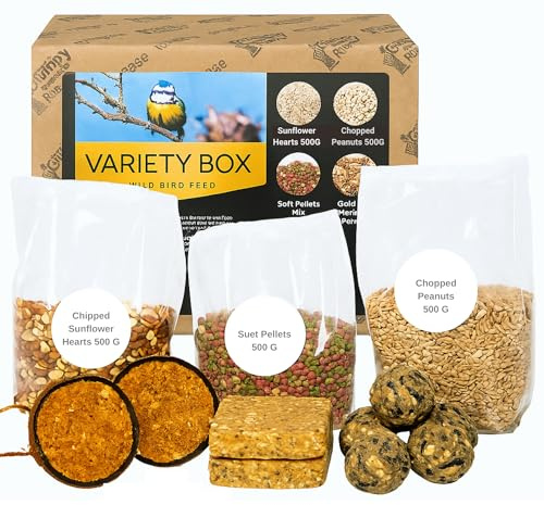 Grumpy Gardener Wild Bird Food Variety Box – Fat Balls, Suet Pellets, Bird Peanuts, Sunflower Hearts, Suet Cakes & Nutpecker Coconuts | High-Protein Energy Feed (3 Kg)