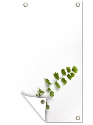MuchoWow Outdoor-Poster Poster Wanddeko draußen Deko Garten Gartenposter 80x160 cm Blatt eines Farns vor weißem Hintergrund