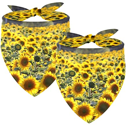 Hundehalstuch, Hundehalstuch, waschbar, Zubehör für kleine, mittelgroße und große Hunde, Welpen, Katzen, Sonnenblumengarten, 2 Stück