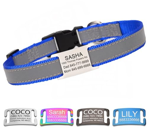 Personalisiertes reflektierendes Hundehalsband mit Namensplatte,Blau | Gravierter Name,geräuschloser Edelstahl‑Anhänger,genähtes Reflektionsband,einstellbares Nylon‑Halsband für alle Hundegrößen