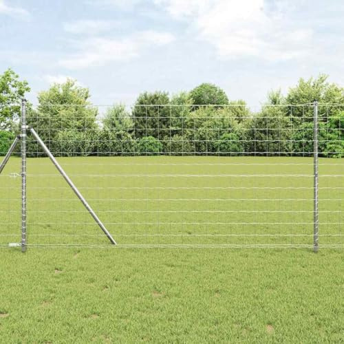 Eurozaun Silber 1x10m, Feuerverzinktes Eisen, Robuster Gartenzaun, Langlebige Außenbarriere für Garten & Terrasse, Witterungsbeständiges Metallgitter