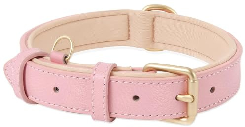 HEELE Collar de Perro Cómodo y Duradero, Ajustable con Acolchado Suave, de Cuero para Razas Pequeñas, Medianas y Grandes, Rosa, XS