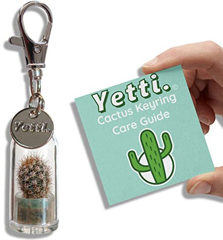 Yetti Mini Cactus Gift Keyring - Living Plant Keychain (Tiger) - Tiny Plant Gift for Cactus Lovers