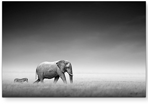 Paul Sinus Art Leinwandbilder | Bilder Leinwand 120x80cm Elefant und Zebra in der Afrikanischen Steppe