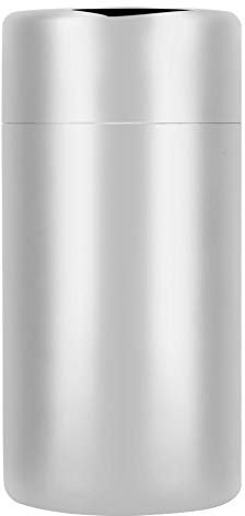 Leapiture Barattolo conservazione tè Barattolo latta portatile in acciaio inossidabile 304 Barattolo conservazione delle foglie tè Contenitore chicchi (Grande formato 550ML)