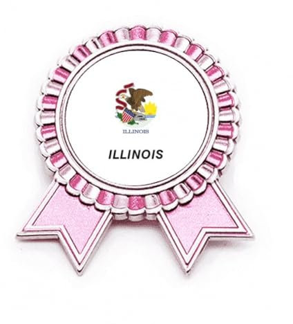 Brosche mit amerikanischer Staatsflagge, Illino ist Anstecknadel, Pink, Gewinner Award Medaille, M, Metall