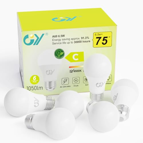 GY E27 Led Kaltweiss Glühbirne, 6.5W 1050LM Energiesparlampe, Ersetzt 75W lampen, Energieeffizienzklasse C, A60 Led Kaltweiß, Abstrahlwinkel 280°Leuchtmittel, Nicht Dimmbar, 6 Stück