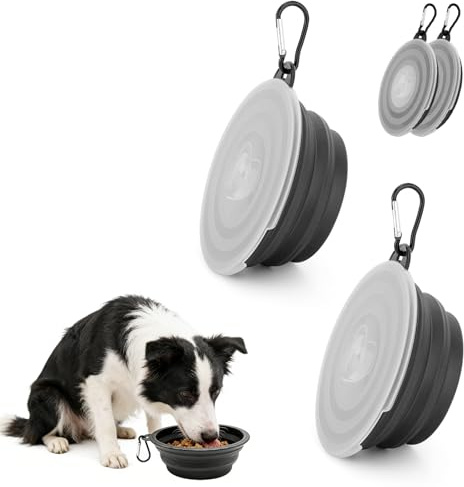 CQXSYTBN Set di 2 Ciotole Pieghevoli in Silicone Nero per Cani e Gatti con Coperchio e moschettone – Portatili e richiudibili, Ideali per Viaggi, Passeggiate e Campeggio (350 ml)