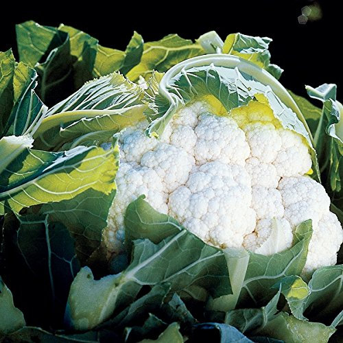 Cauliflower Aviron F1 Quality Seeds Vegetable Packs