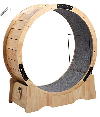 DIIDIIFF Katzenlaufrad, großes Laufrad für Katzen mit Teppichboden, Katzenlaufband aus Holz zum Laufen, Spinnen, Kratzen, Nickerchen