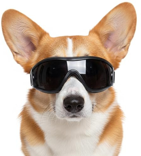 Occhiali per cani, per la cura degli occhi, per cani di piccola taglia, 1 paio di occhiali protettivi per animali domestici, montatura nera, lenti grigie per escursioni, neve, auto, moto, adatti per