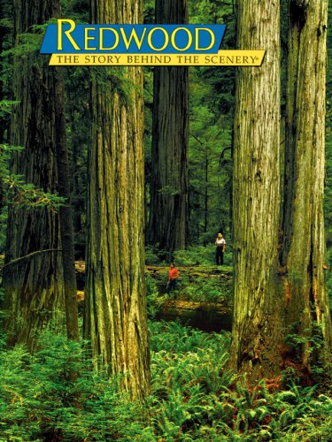 Redwood: The Story Behind the Scenery