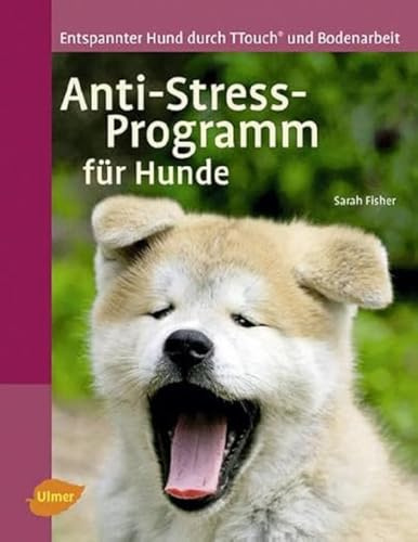 Anti-Stress-Programm für Hunde: Entspannter Hund durch T-Touch und Bodenarbeit