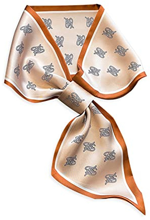 LumiSyne Seidenschal Damen Skinny Schal Einfacher Durchziehen Design Französische Vintage Stil Schmaler Lange Halstuch Leicht Satin Kleine Schal Dekorative Kopfschmuck Stirnbänder Haarband Ribbon