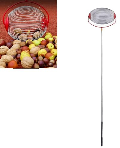 Tragbarer Nusssammler mit großem Griff, Obst- und Eichelpflücker für Walnüsse, Pekannüsse und Kastanien, Gartenwerkzeug mit großer Kapazität
