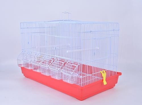 Pet's Solution - Gabbia Cova per Uccelli come Canarini, Cocorite e Bengalini, Ideale per Allevamento, con Divisorio, 2 Posatoi e 6 Mangiatoie - Rosso 58X35X36,5h cm