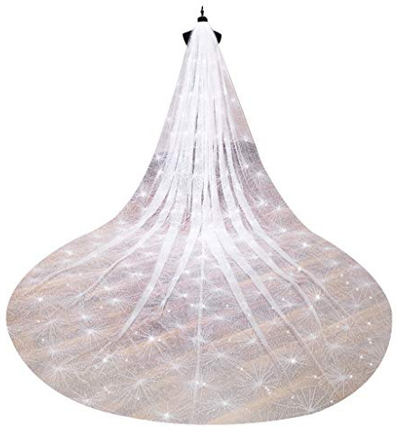 KANEIDALINNA Hochzeitsschleier für 3M One-Layer-Frauen Weiß Schleppender Langer Hochzeitsschleier Seashell Spray Glitter