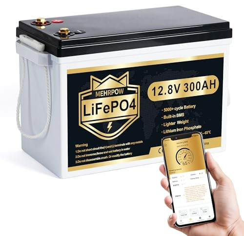 12V 300Ah MINI LiFePO4 Lithium Batterie, Lithium Batterie, 200A BMS, bis zu 15000 Zyklen, Max.3840Wh Energie mit Low Temp Cut off, perfekt für RV, Solar, Trolling Motor