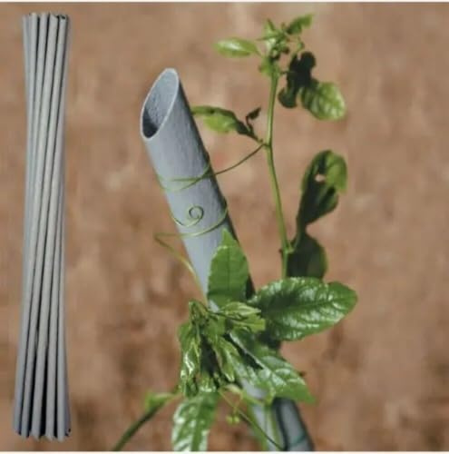 Pali sostegno ortaggi pomodori tutore piante in plastica pvc Tenax (10, 210 CM)