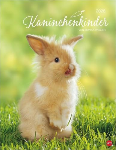 Kaninchenkinder Posterkalender 2026: von Monika Wegler. Ein bezaubernder Tierkalender mit süßen Fotos. Dekorativer Kalender für Tierfreunde. Hochformat 34 x 44 cm.