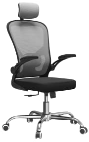 ADGO Dory Silla de Gaming con Reposabrazos, Silla de Ordenador sobre Ruedas, de Escritorio, de Oficina con Reposacabezas, Ergonómica, para Conferencias, Silla Giratoria (Gris)