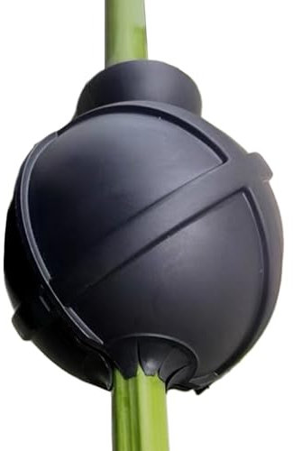 Scatola di coltivazione delle radici della pianta - Scatola di coltivazione di talee di innesto di radice, Scatola di propagazione delle piante | Albero di frutta Substrato di trapianto di substrato