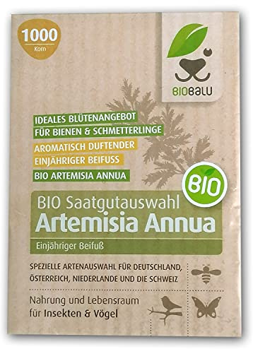 Artemisia Annua Saatgut – Einjähriger Beifuß – Demeter Bio (1000 Korn)