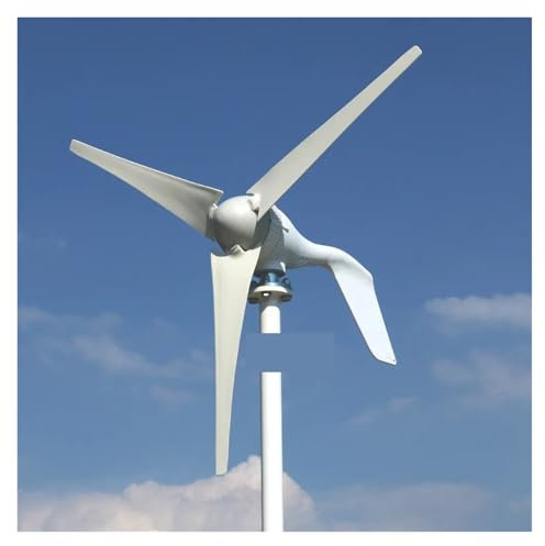 Kit de turbina aerogeneradora de 5000W 3000W, turbina aerogeneradora Horizontal potente molino de viento de uso doméstico de 12V 24V 48V Baja velocidad inicial para el hogar(3blades,24V_2000W)