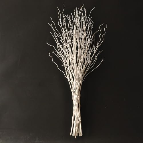 Rami di salice ricci artificiali realistici, 76 cm, in plastica, per fai da te, decorazioni per giardino, hotel, fattoria, colore bianco, 10 pezzi