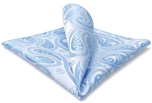 S&W SHLAX&WING Paisley Silber Weiß Blau Herren Einstecktücher Neu Fashion Hankies