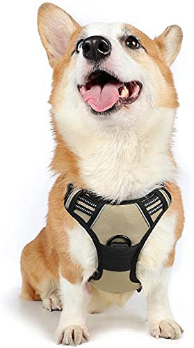 rabbitgoo Arnes Perros Grande Mediano Pequeño Arnés Pecho Antitirones Perros Coche con Lineas Reflectantes Cómodo Transpirable Chaleco Acolchado Ajustable para Adiesreamiento Tamaño M Marrón
