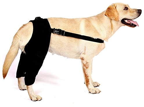 SMALLLEE_LUCKY_STORE Hunde-Kniebandage für Rücken, Bein, zerrissenes ACL, Neopren, Stützbandage für Hunde, Hüftgelenk, Kompression, Verstauchungen, Verletzungsschutz, Stabilitätsverlust bei Arthritis,