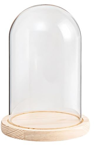 Campana in vetro con base in legno, cupola in vetro trasparente, 20 x 14 cm, espositore per progetti fai da te, modelli, piante, statuette, oggetti da collezione, elegante decorazione per la casa