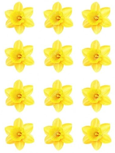 12 x PRECUT DAFFODIL EDIBLE WAFER CUPCAKE TOPPERS CAKE DECORATION