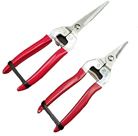 TONZN Tijeras para Flores, podadora Manual de árboles, poda multitarea, Tijeras de jardín para floristería y Nariz de Aguja