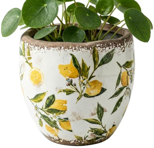 BeVistoso Jardinière Toscane en céramique Toscane – Pot de Fleur en céramique Jaune avec Vernis craquelé Vintage pour Jardin intérieur extérieur, terrasse et décoration d'intérieur
