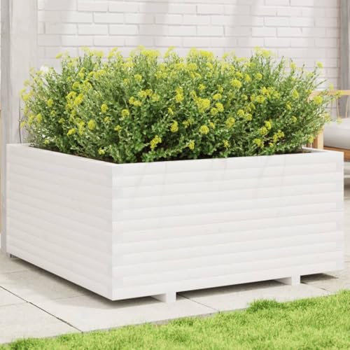 LAPOOH Pflanzkübel Weiß 100x100x49,5 cm Massivholz Kiefer, Blumentopf Gross, Blumenkasten Balkon, übertopf, Pflanzkasten, Flowerpot, Kräuterbeet Für Die Küche, Vertikalbeet - 3282540