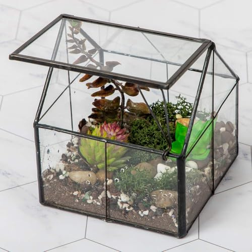 Planta de vidrio Terrario Contenedor Wardian Caso Interior Pequeño Suculento Terrario Planta w/Puerta para Decoración de Mesa DIY (4.3 L x 4.3 W x 4.9 H)