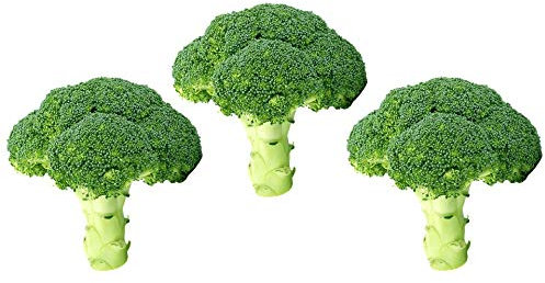 Graines Chou brocolis vert Calabrais - sachet de 1 gramme - Graines reproductibles - Graines de style