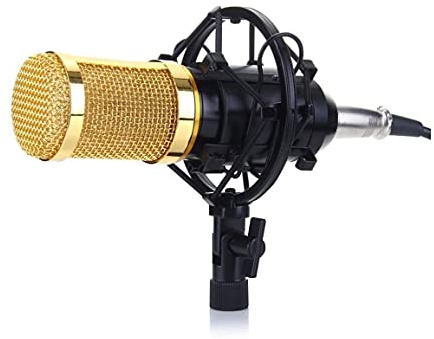 XIXIDIAN Kit microfono a condensatore: microfono per computer + supporto shock + tappo in schiuma + cavo come microfono per il podcast di registrazione del karaoke