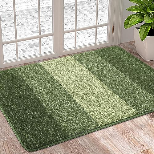 Homaxy Dirt Trapper Door Mats Indoor, 50x80cm, Green