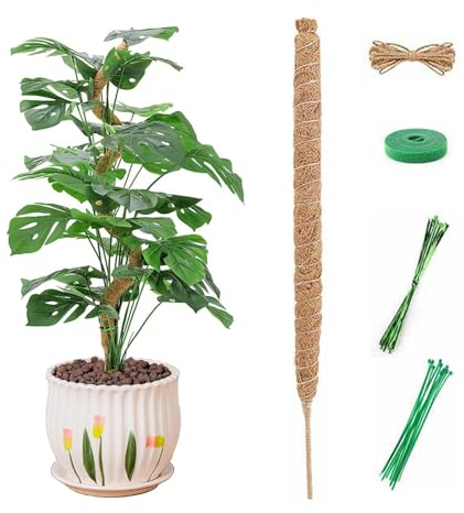 Monstera Tuteur en mousse - 120 cm - Tuteur souple Monstera - Support naturel pour plantes grimpantes avec accessoires
