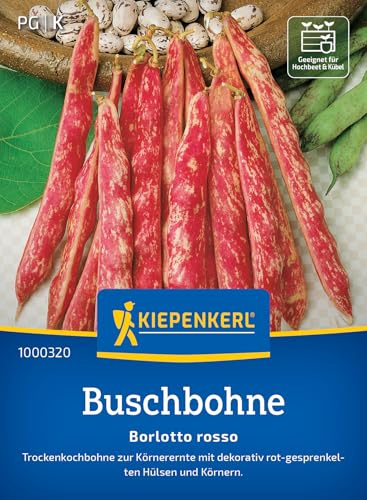 Kiepenkerl Buschbohnensamen Borlotto Rosso 1000320, Gemüsesaat | Gemüsesamen für eine Trockenkochbohne, Inhalt für 5-10 laufende Meter, Wuchshöhe 50 cm, lagerfähig