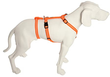 Feltmann No Exit ausbruchsicheres Hundegeschirr für Angsthund, Sicherheitsgeschirr für Pflegehunde, Panikgeschirr, Super Soft, Neonorange, Bauchumfang 50-65 cm, 20 mm Bandbreite