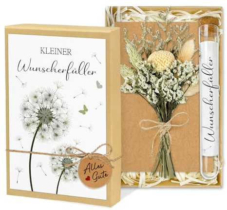 Wunscherfüller Geldgeschenk, Stilvolle Geldgeschenke Verpackung mit Reagenzglas, Trockenblumen & Karte, Geburtstagsgeschenk für Frauen Mann, Geschenk für Konfirmation Jugendweihe Geburtstag Hochzeit