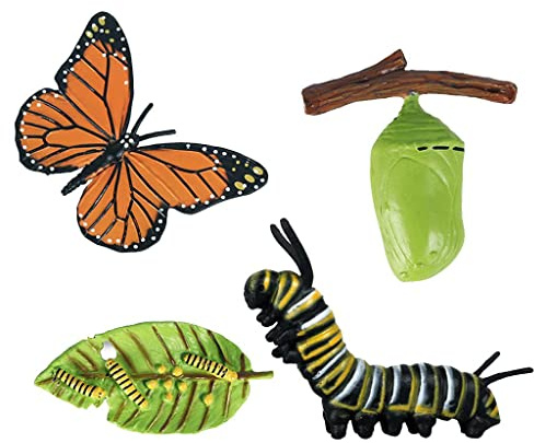 Ysyqkn 4 Pezzi Ciclo Vitale Animali Set Modello Figurina Plastica Fasi Evoluzione Metamorfosi Adatto per Regali Decorazione Interna